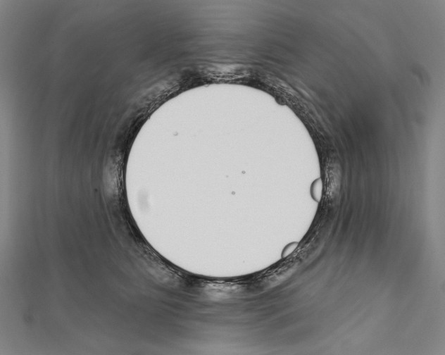 X0000111590515200908271012