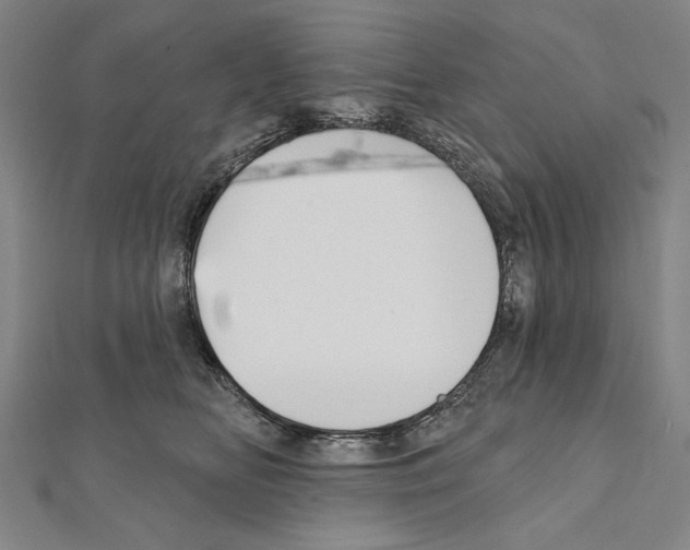 X0000111590518200908271012