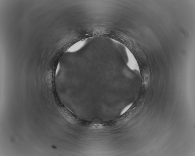 X0000111590519200908271012