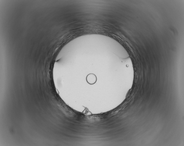 X0000111590520200908271012
