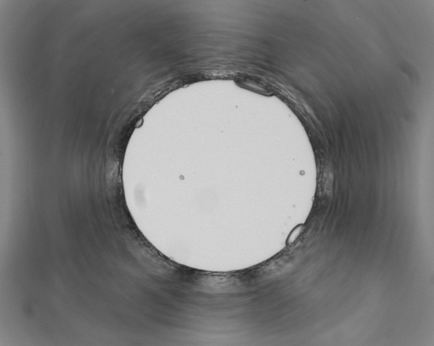 X0000111590521200908271012