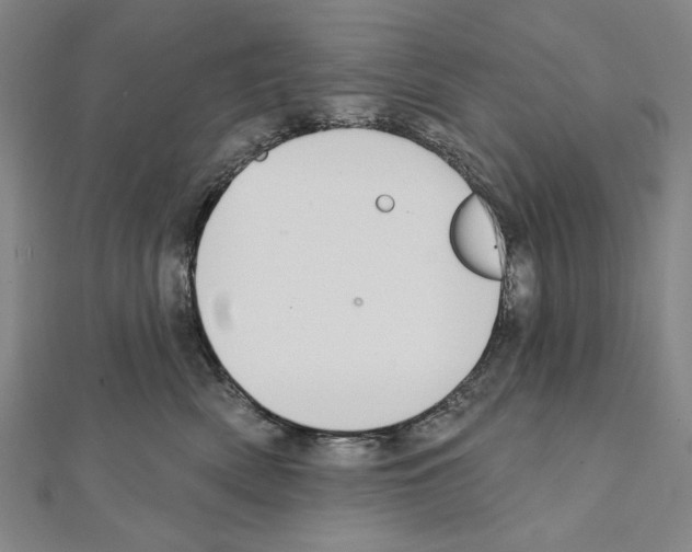 X0000111590522200908271012