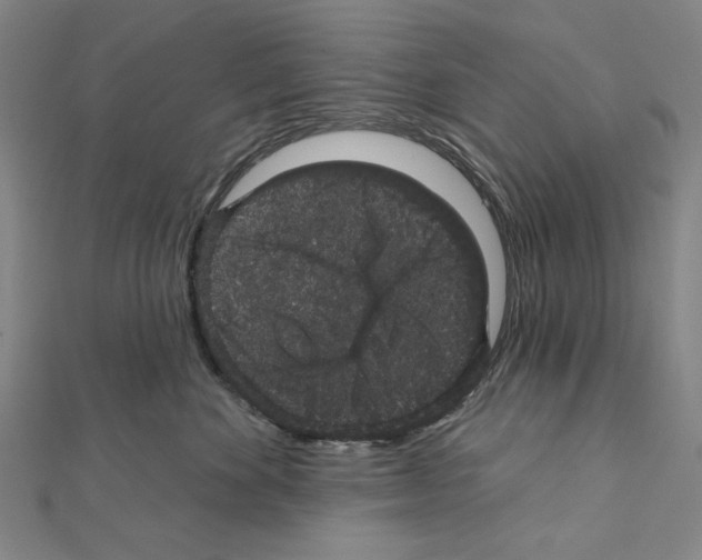 X0000111590524200908271012