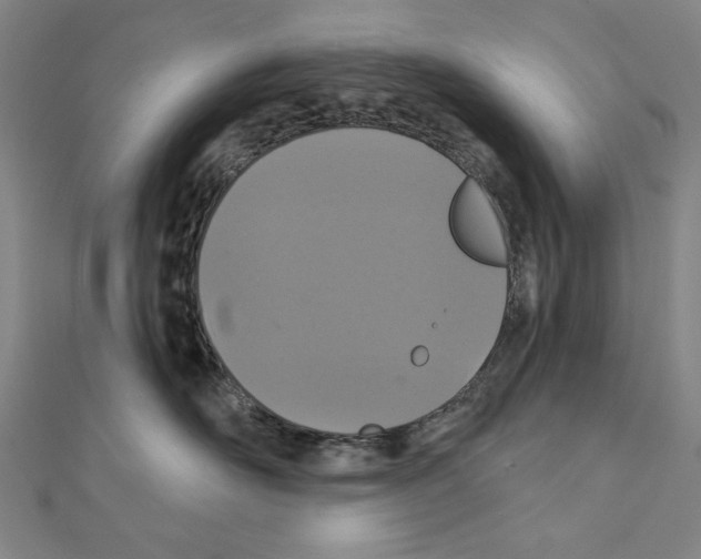 X0000111590526200908271012