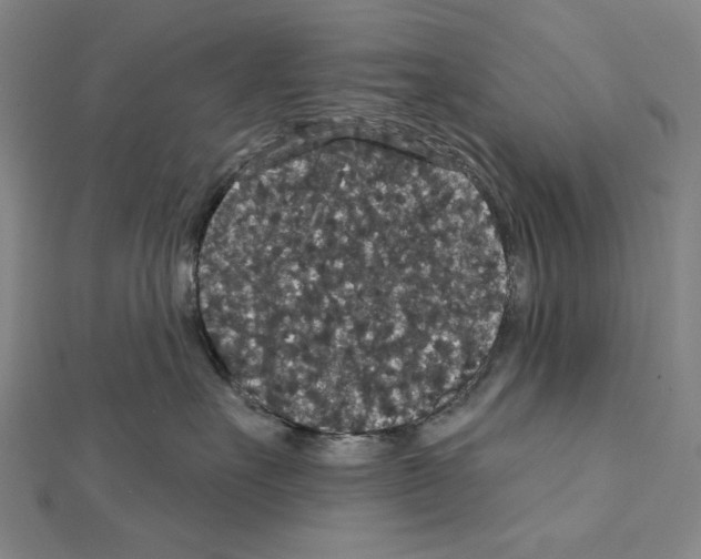 X0000111590527200908271012