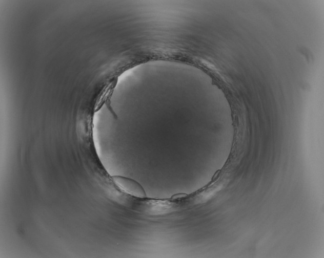 X0000111590528200908271012