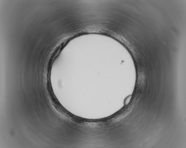X0000111590530200908271011
