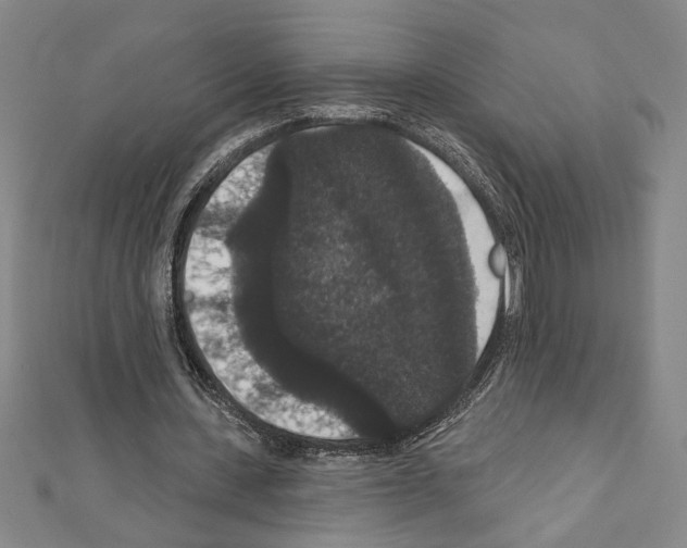 X0000111590531200908271011