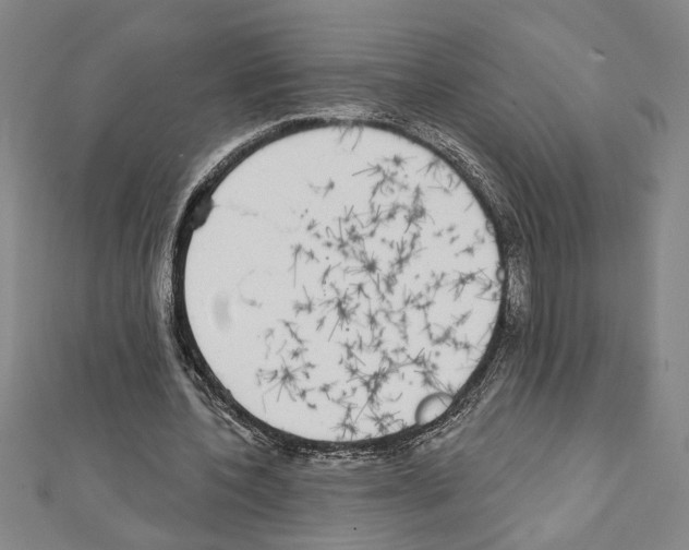 X0000111590532200908271011