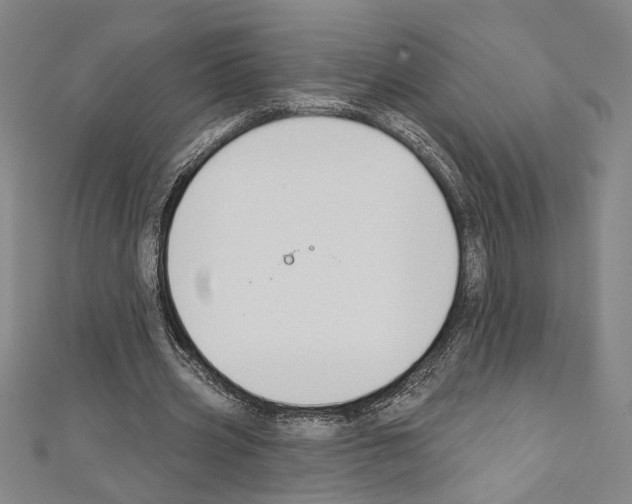 X0000111590533200908271011