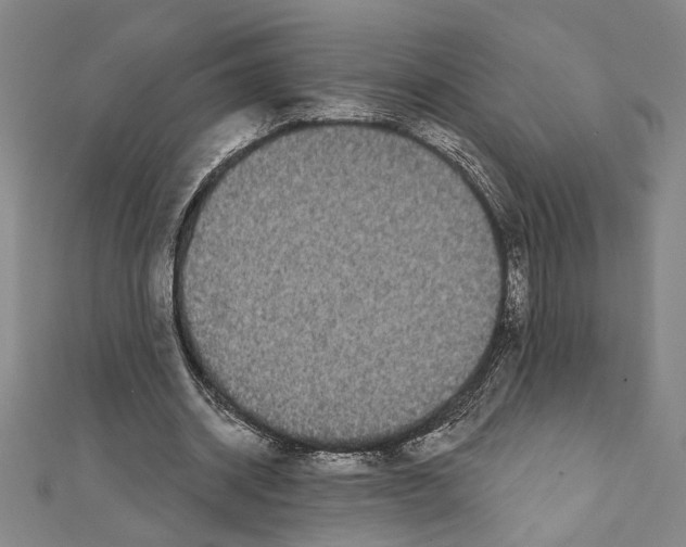 X0000111590534200908271011