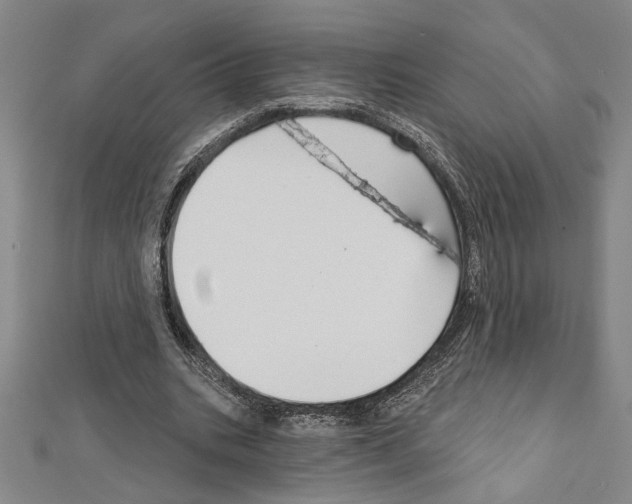 X0000111590535200908271011
