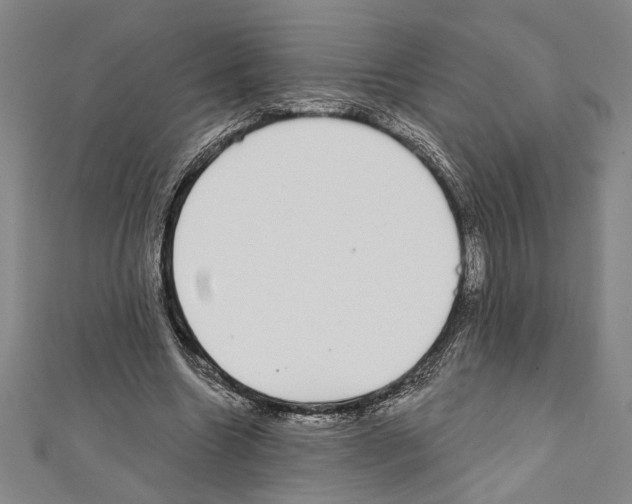 X0000111590538200908271011