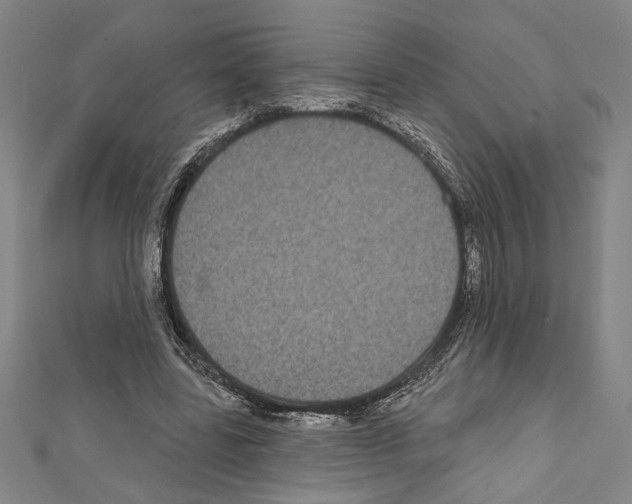 X0000111590539200908271011