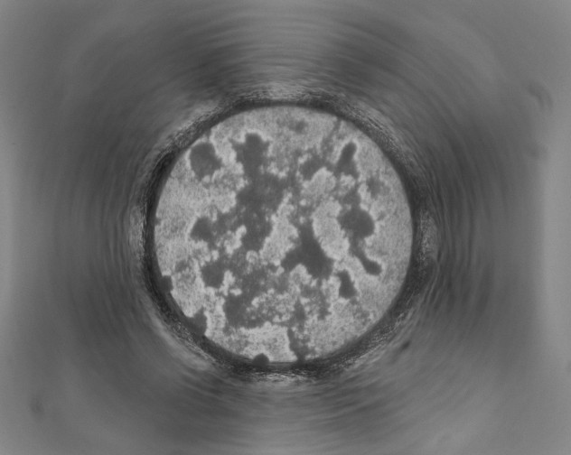 X0000111590542200908271011