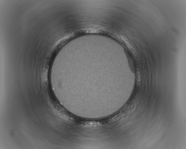 X0000111590543200908271011