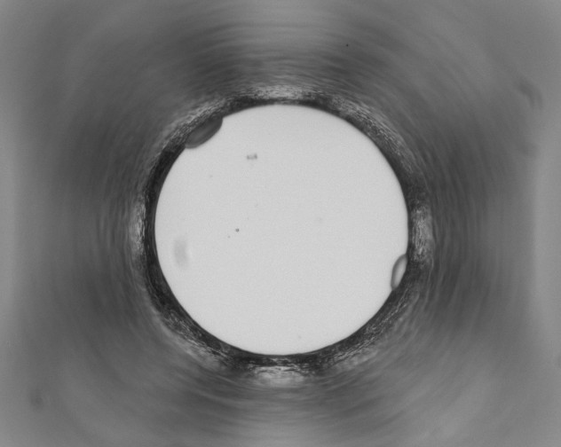 X0000111590544200908271011