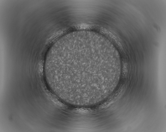 X0000111590545200908271011