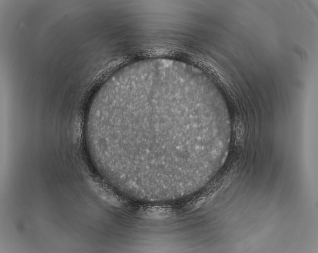 X0000111590546200908271011