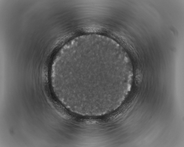 X0000111590547200908271011