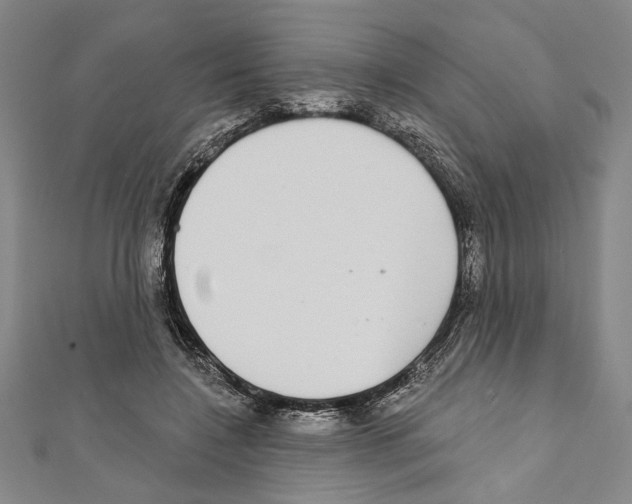 X0000111590548200908271011