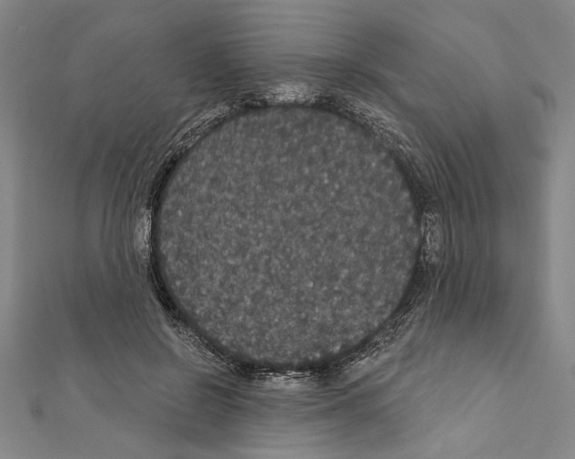 X0000111590550200908271011
