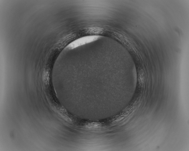 X0000111590551200908271011