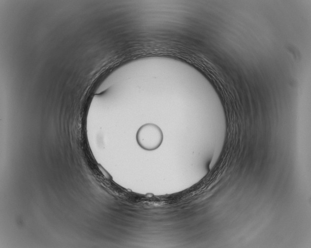 X0000111590552200908271011