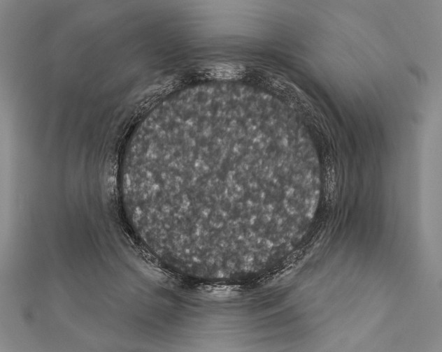 X0000111590553200908271011