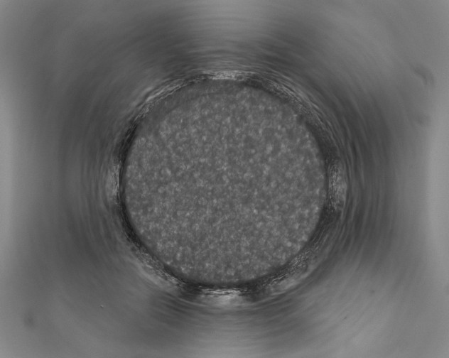 X0000111590554200908271011