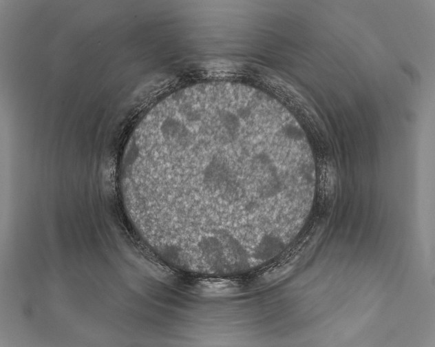 X0000111590557200908271011