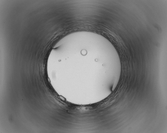 X0000111590558200908271011