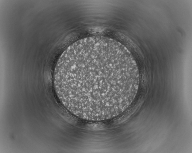 X0000111590561200908271011