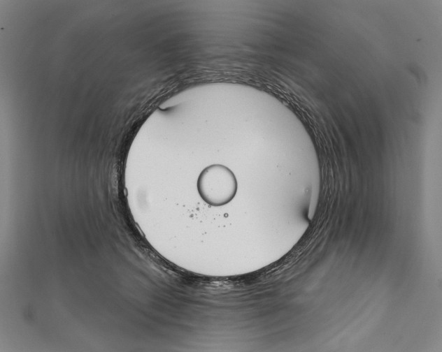 X0000111590562200908271011