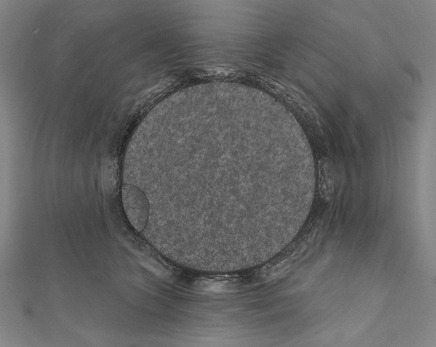 X0000111590563200908271011