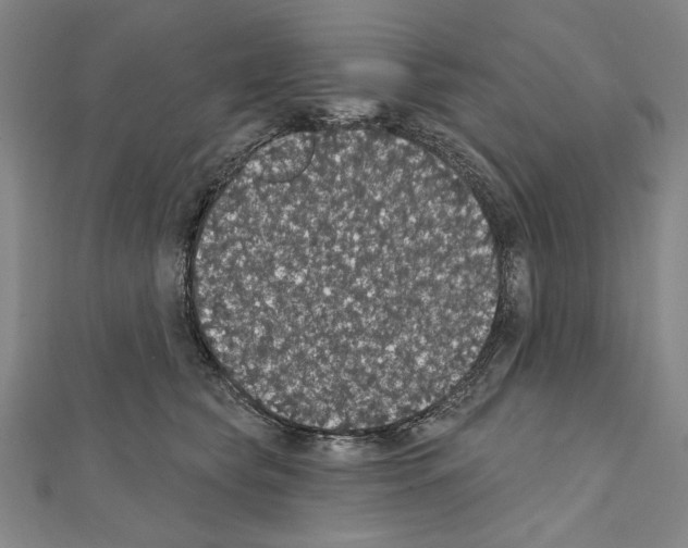 X0000111590565200908271011