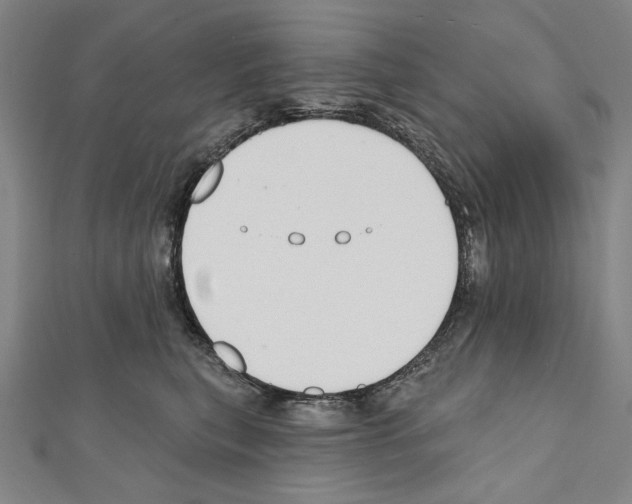 X0000111590567200908271011