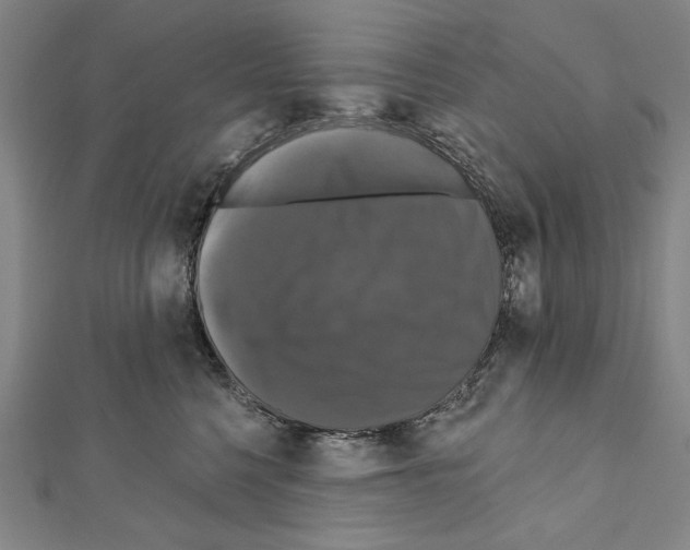 X0000111590568200908271011