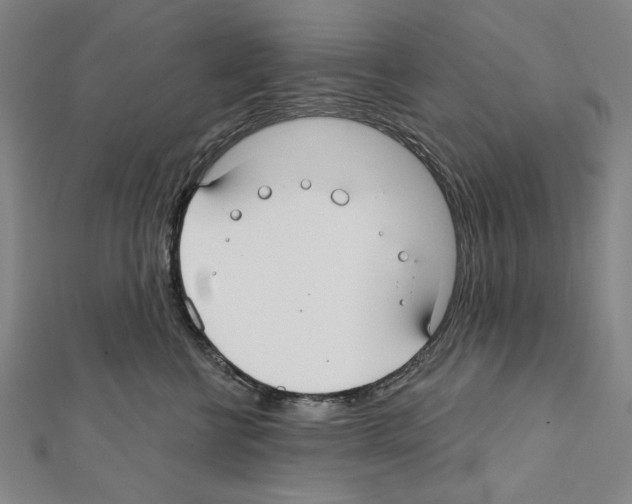 X0000111590570200908271011