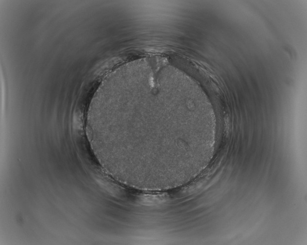 X0000111590571200908271011