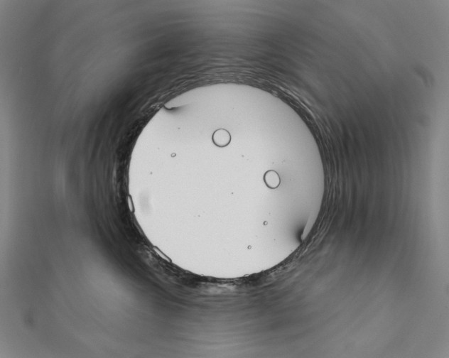 X0000111590572200908271011