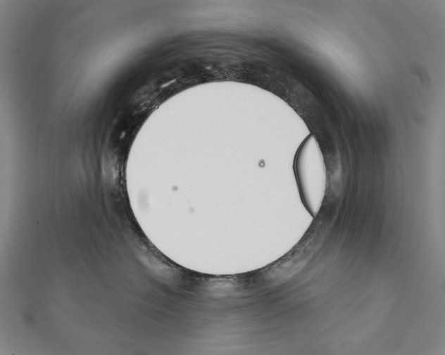 X0000111590574200908271012
