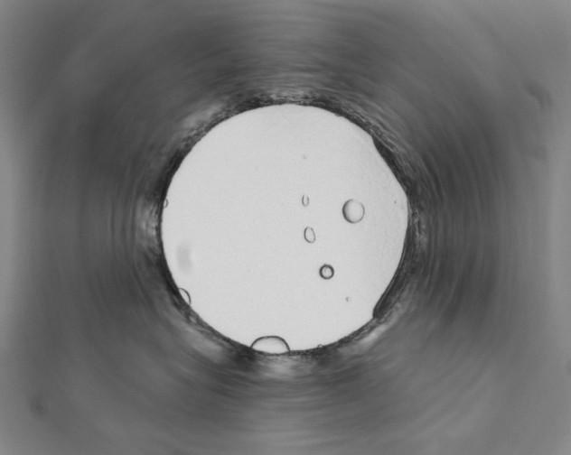 X0000111590575200908271012