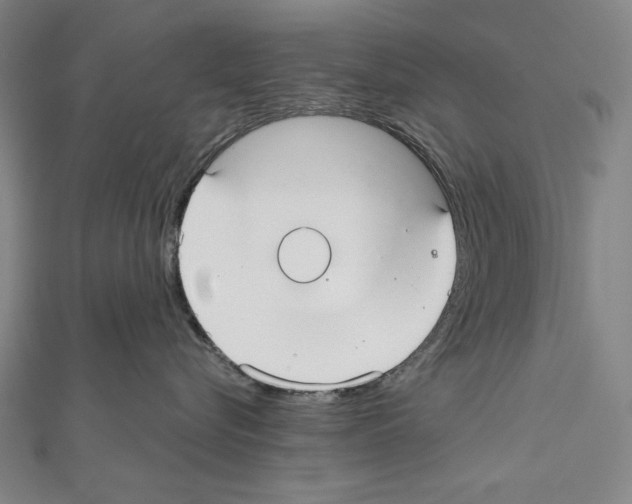 X0000111590576200908271012