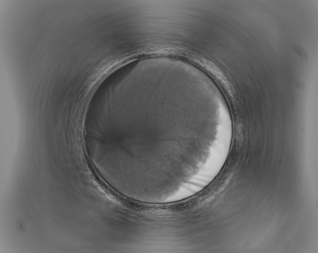X0000111590577200908271011