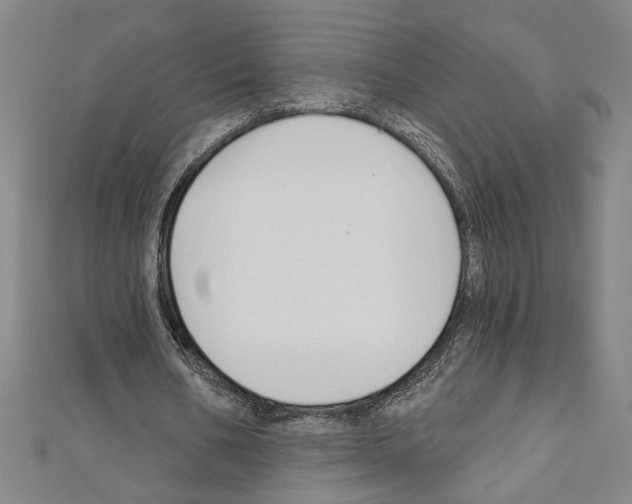 X0000111590578200908271011