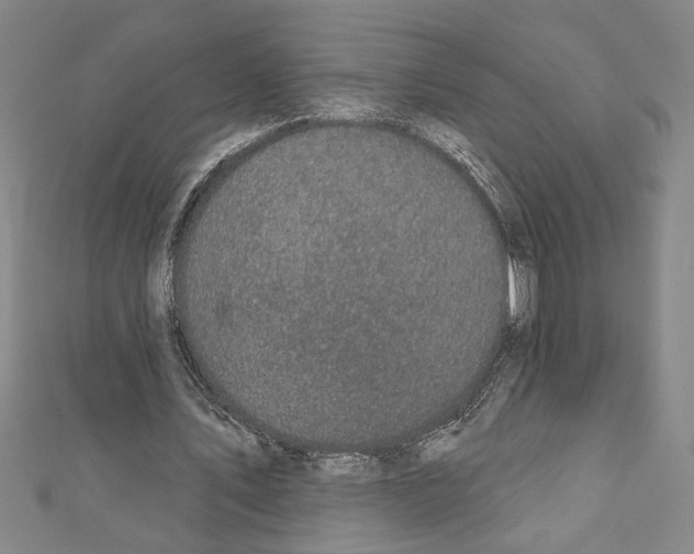 X0000111590579200908271011