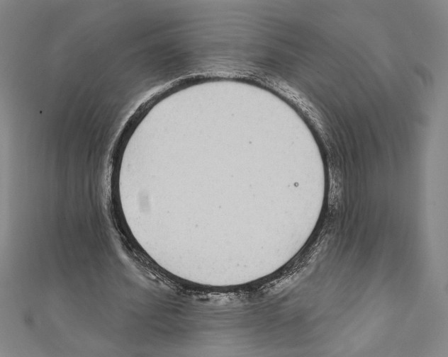 X0000111590580200908271011