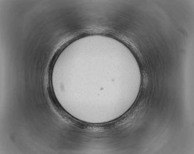 X0000111590582200908271011