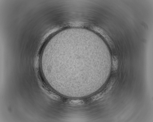 X0000111590583200908271011